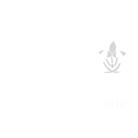 Albero di Cirene